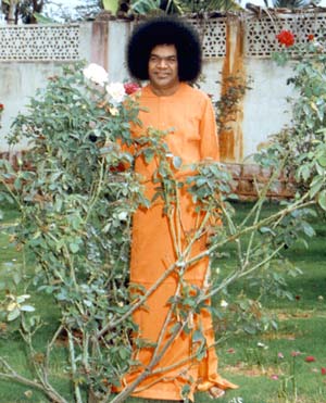 sathya sai baba