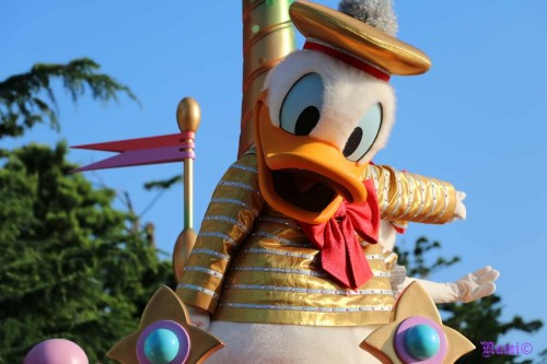 Donald Duck