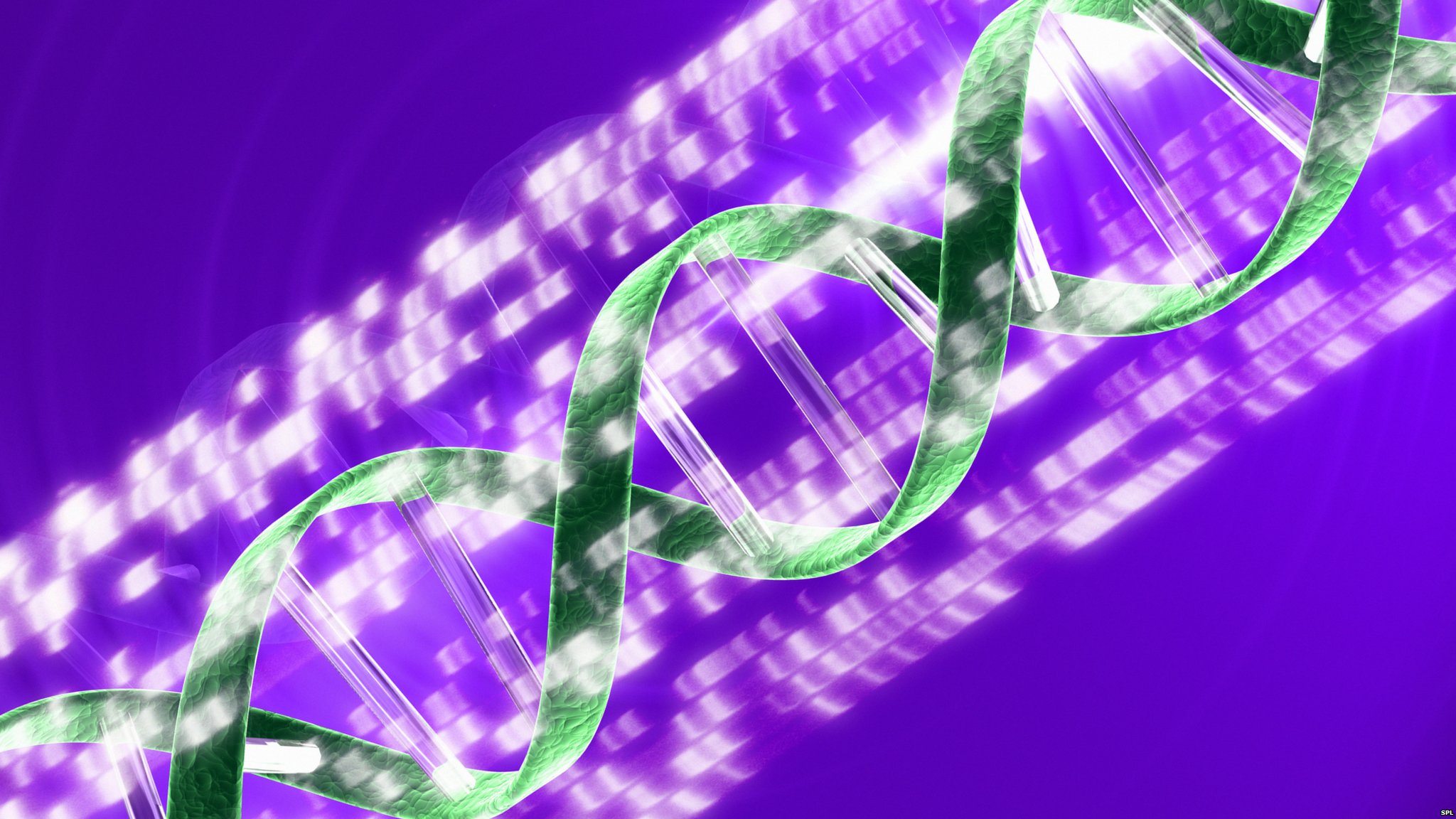 Conceptual computer artwork of a DNA (deoxyribonucleic acid) double helix