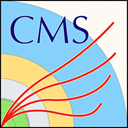 CMS experiment