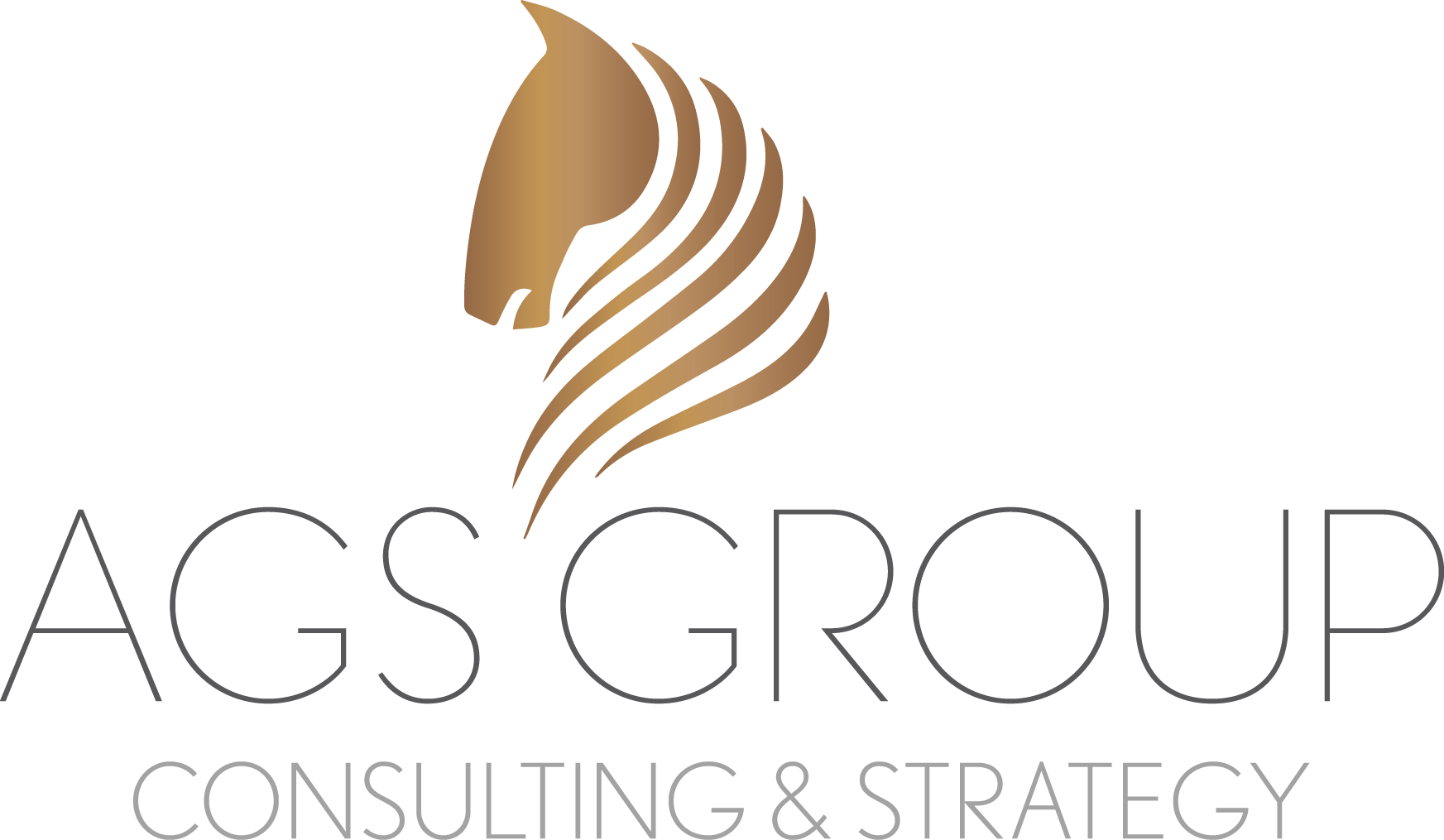 AGS Group