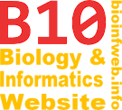 bioinfweb - Biology & Informatics Website