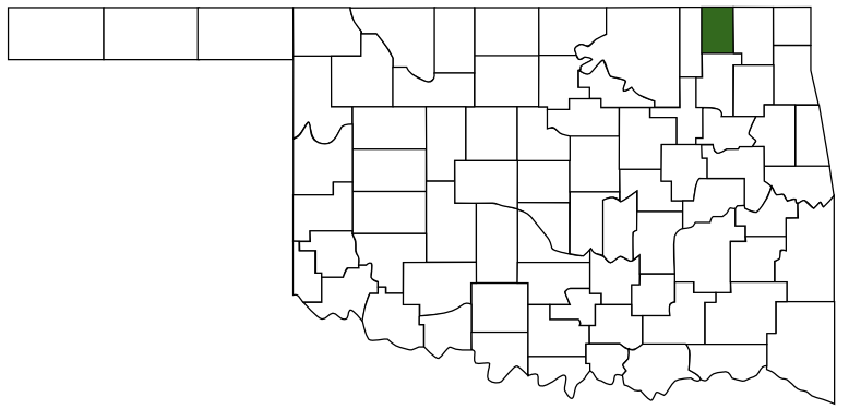 nowata