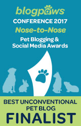 2017 BlogPaws Nose-to-Nose - BEST UNCONVENTIONAL PET BLOG FINALIST badge