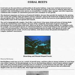 Coral Reefs