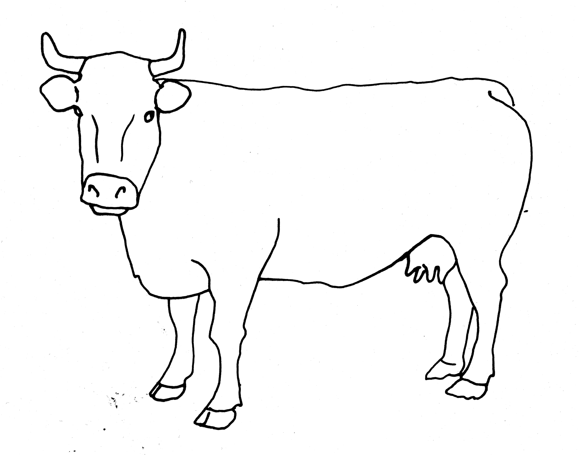 Dairy Cow Drawing | Free download on ClipArtMag