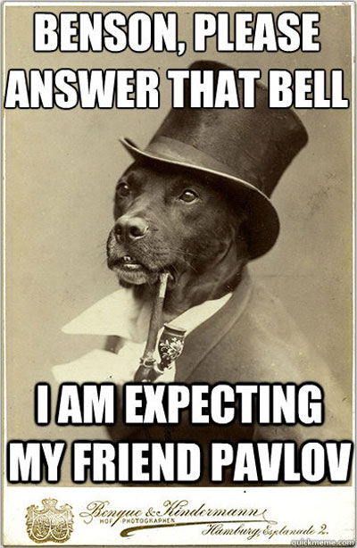 dog meme old money