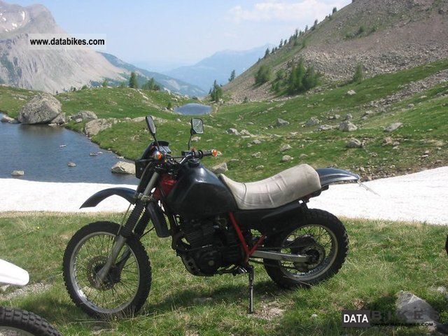 Honda  XL 600 R 1985 Enduro/Touring Enduro photo