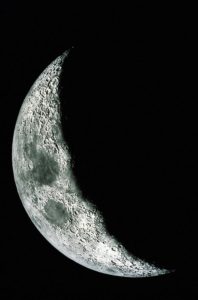 The Quarter Moon