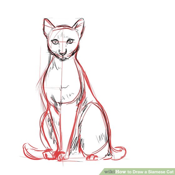 Siamese Cat Drawing at GetDrawings | Free download