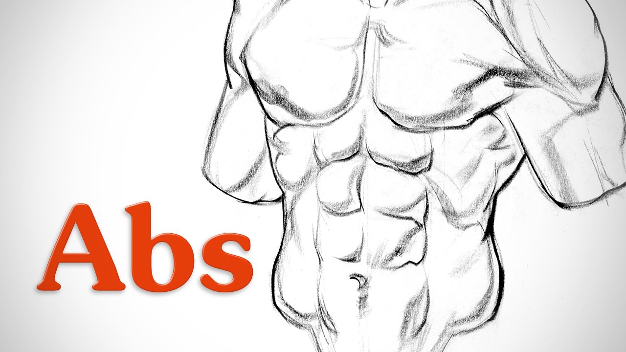 Six Pack Abs Drawing at GetDrawings | Free download