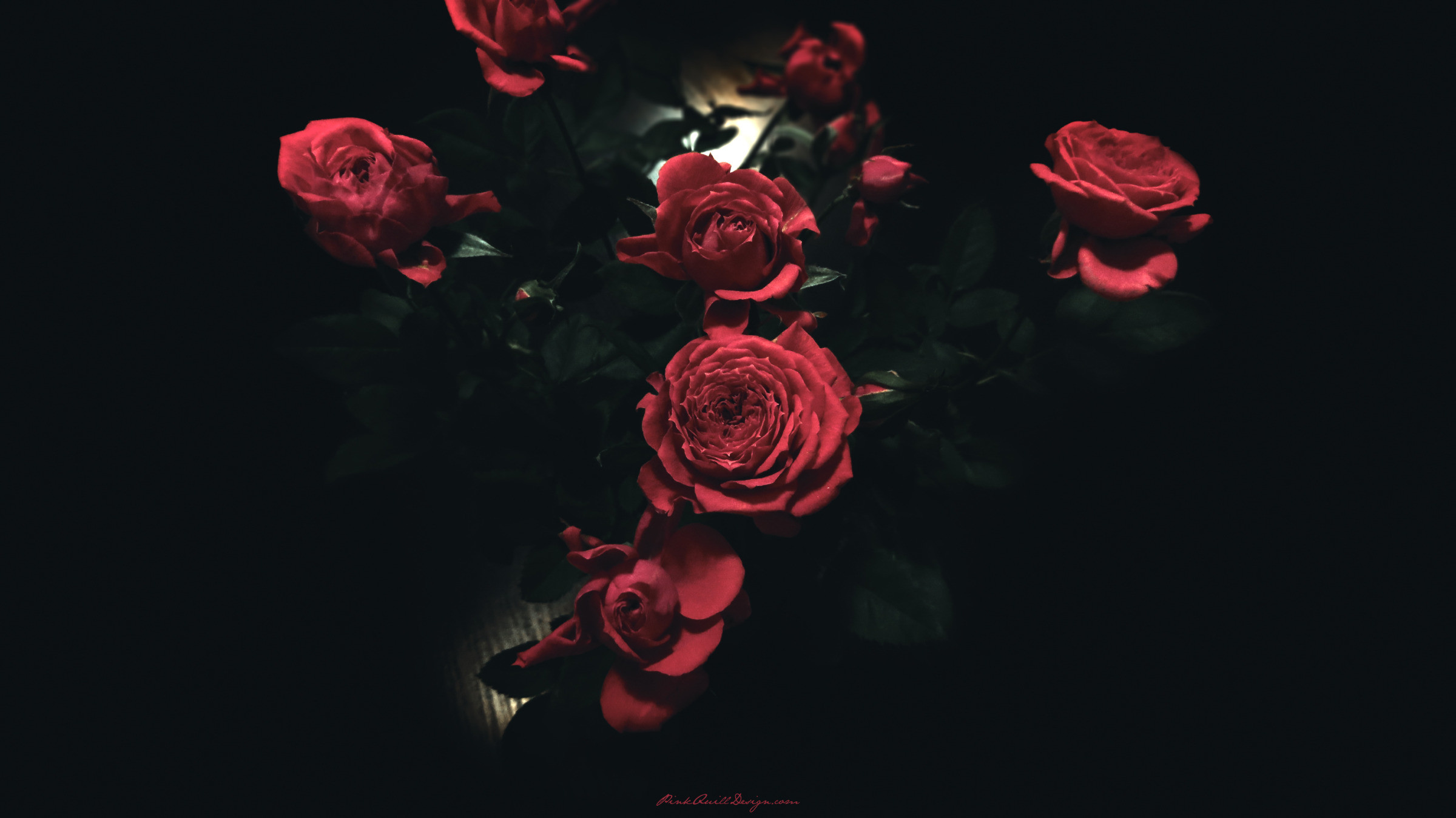 Gothic Roses Wallpaper (63+ images)