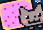 Nyan Cat Fly