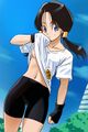 Videl