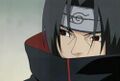 Itachi calmo, antes de pretender matar outro tomate (ou talvez você).