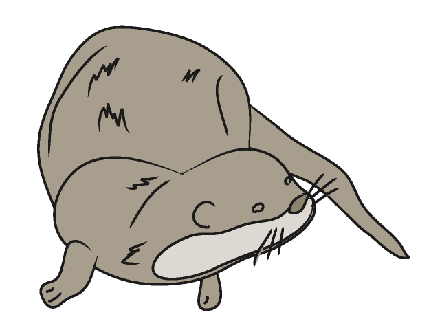 otter%20clipart