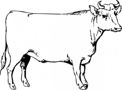 Ox Clip Art