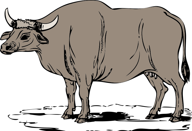 ox%20clipart%20