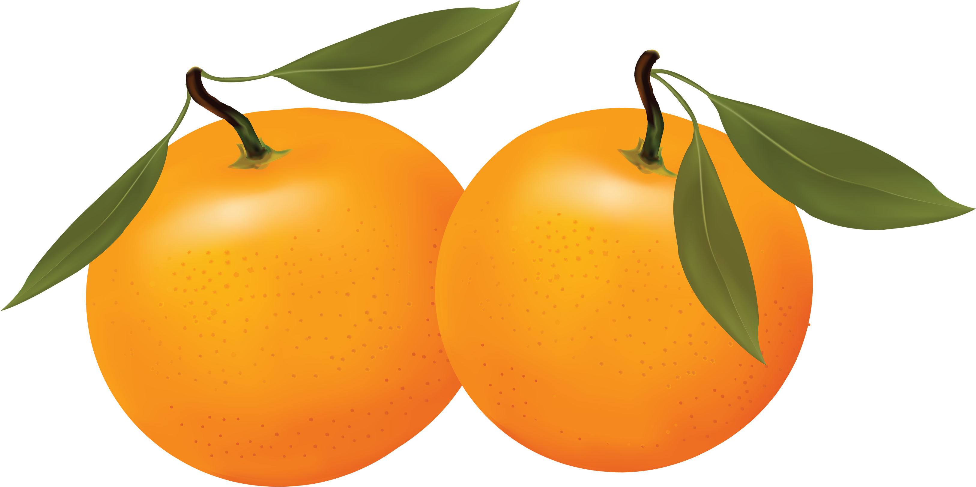 orange%20clipart