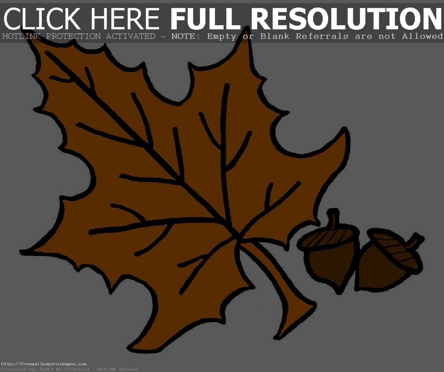 acorn%20clipart