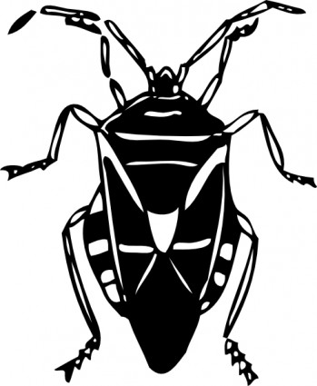 bug%20clipart