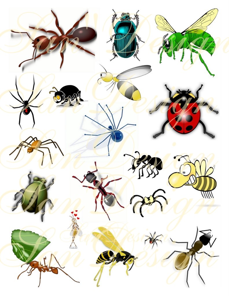 bug%20clipart