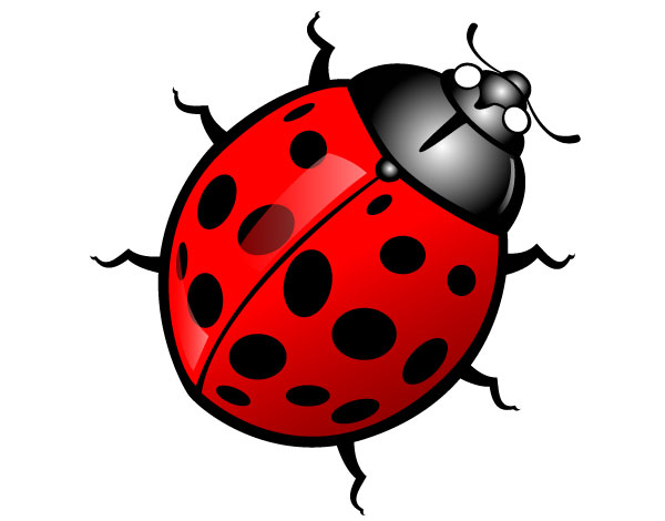 bug%20clipart