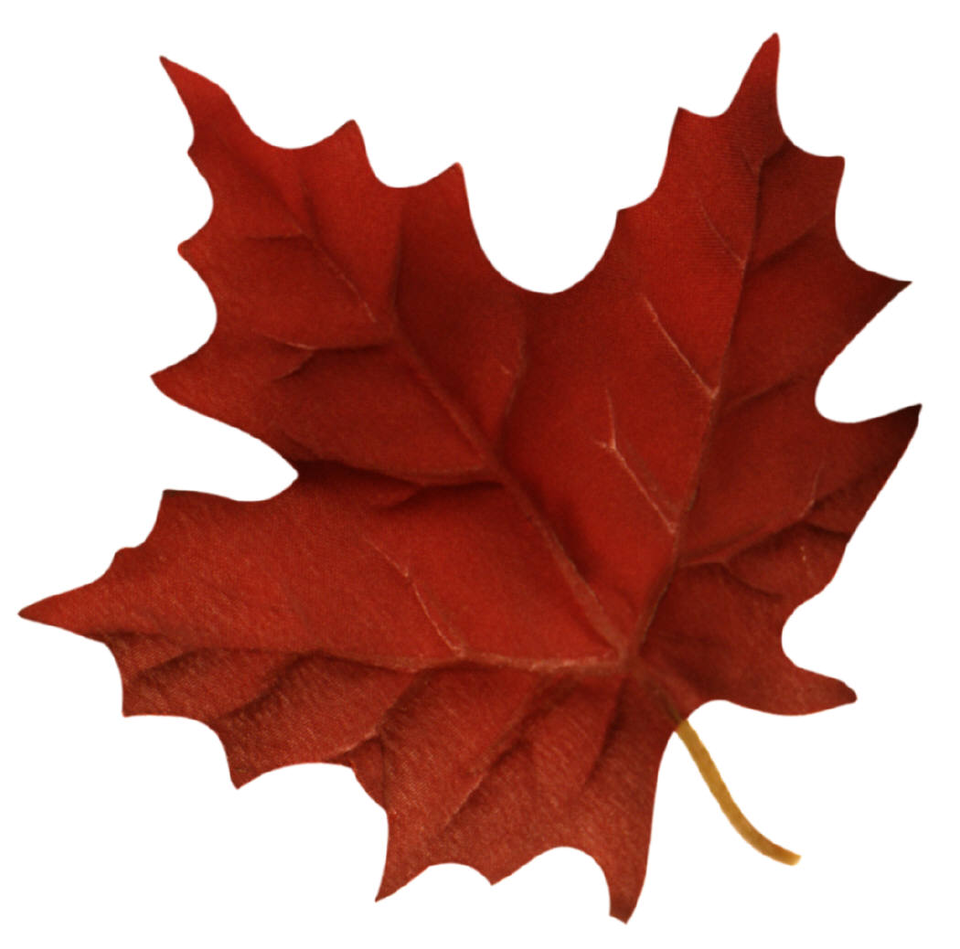 brown%20leaf%20clipart