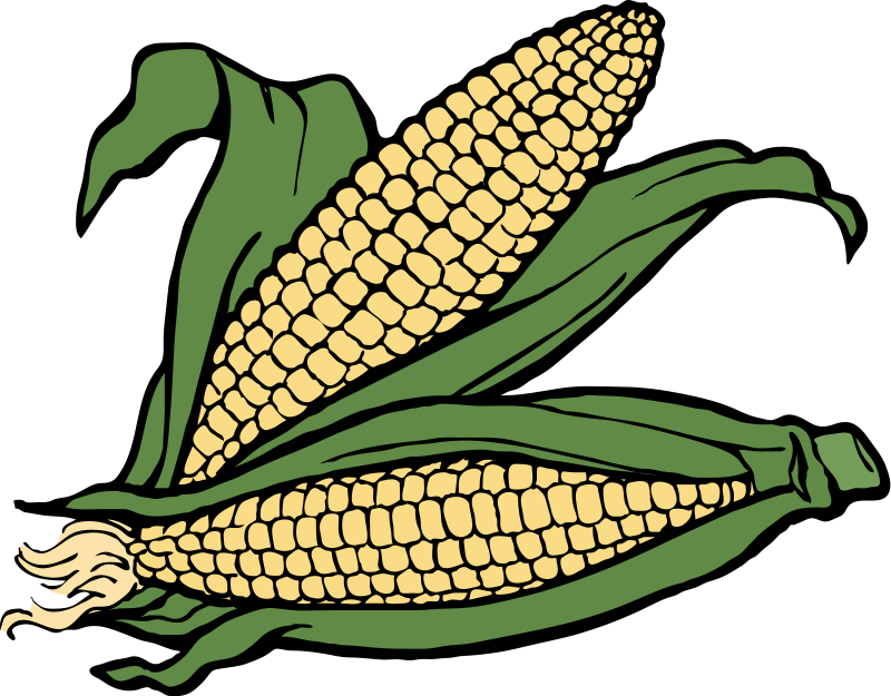 corn clipart