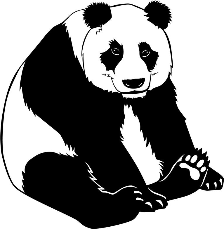 Giant Panda Clip Art