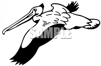 Pelican Clip Art