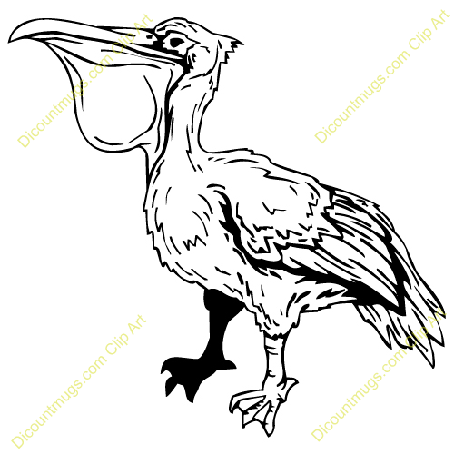 Pelican Clip Art