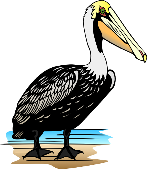 Pelican Clip Art