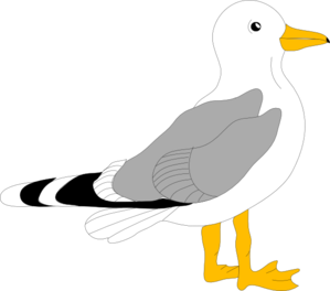 Pelican Clip Art