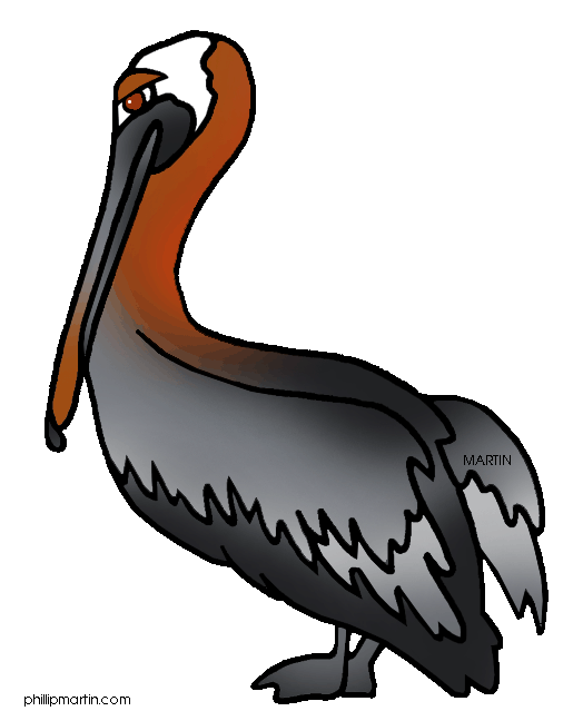 Pelican Clip Art