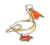 Pelican Clip Art