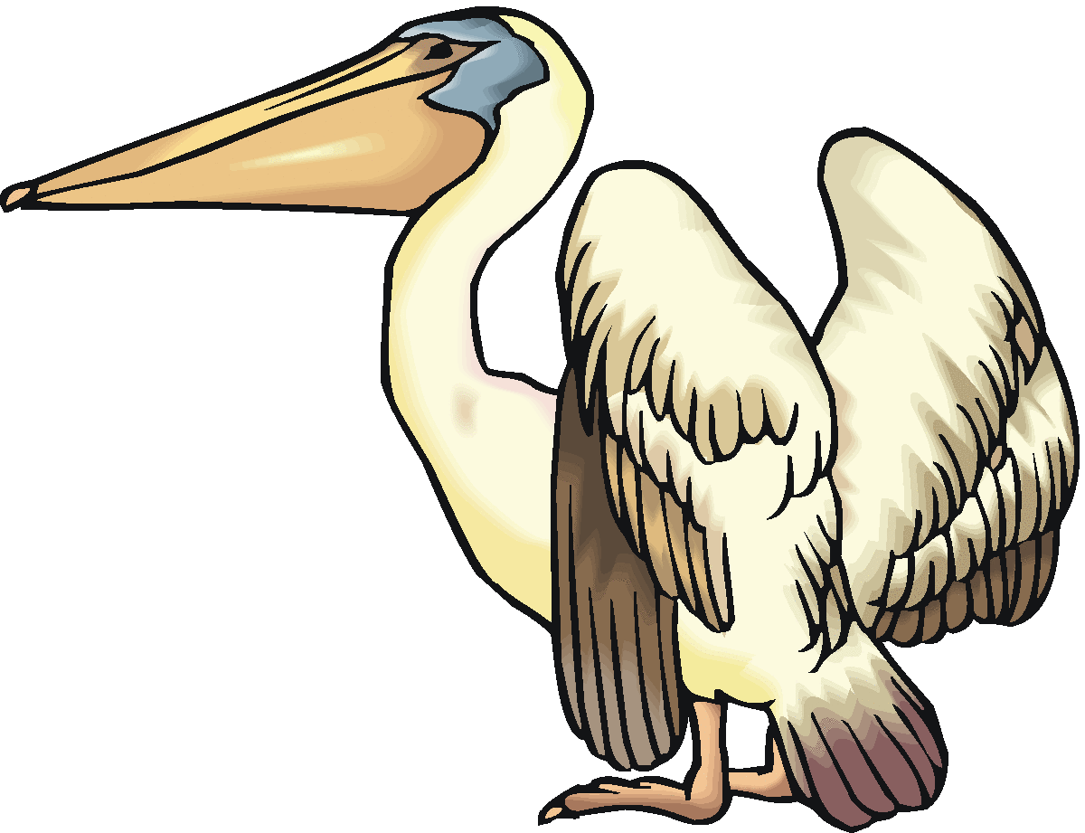 Pelican Clip Art