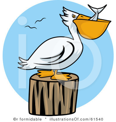 Pelican Clip Art