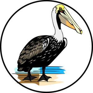 Pelican Clip Art