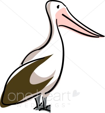 Pelican Clipart