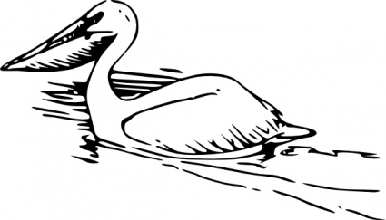 Pelican Clipart