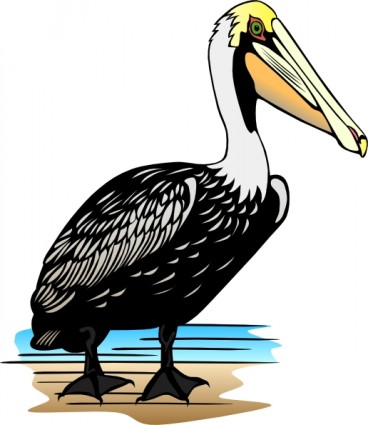 Pelican Clipart