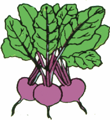 vegetable%20clipart