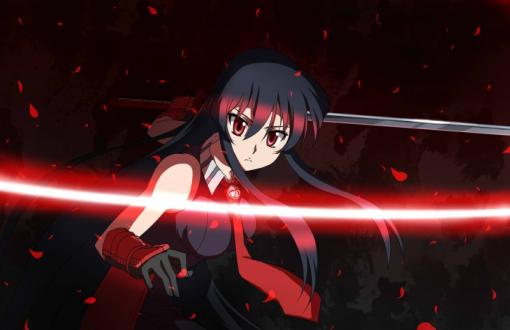 Fighting Akame in Akame ga Kill!