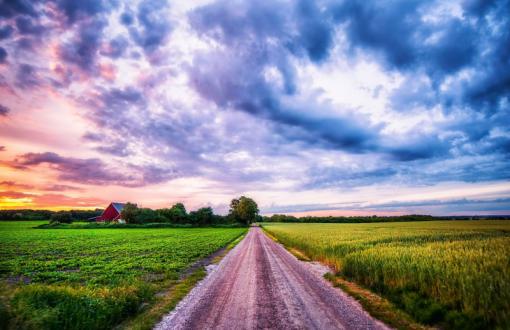 Road along the green field