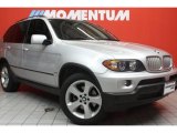 2006 Titanium Silver Metallic BMW X5 4.4i #47057810