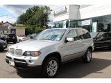 2006 Titanium Silver Metallic BMW X5 4.4i #53063957