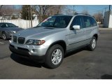 2006 Titanium Silver Metallic BMW X5 3.0i #5601773