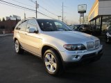 2006 Titanium Silver Metallic BMW X5 4.4i #62864219