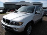 2006 Titanium Silver Metallic BMW X5 3.0i #7068327